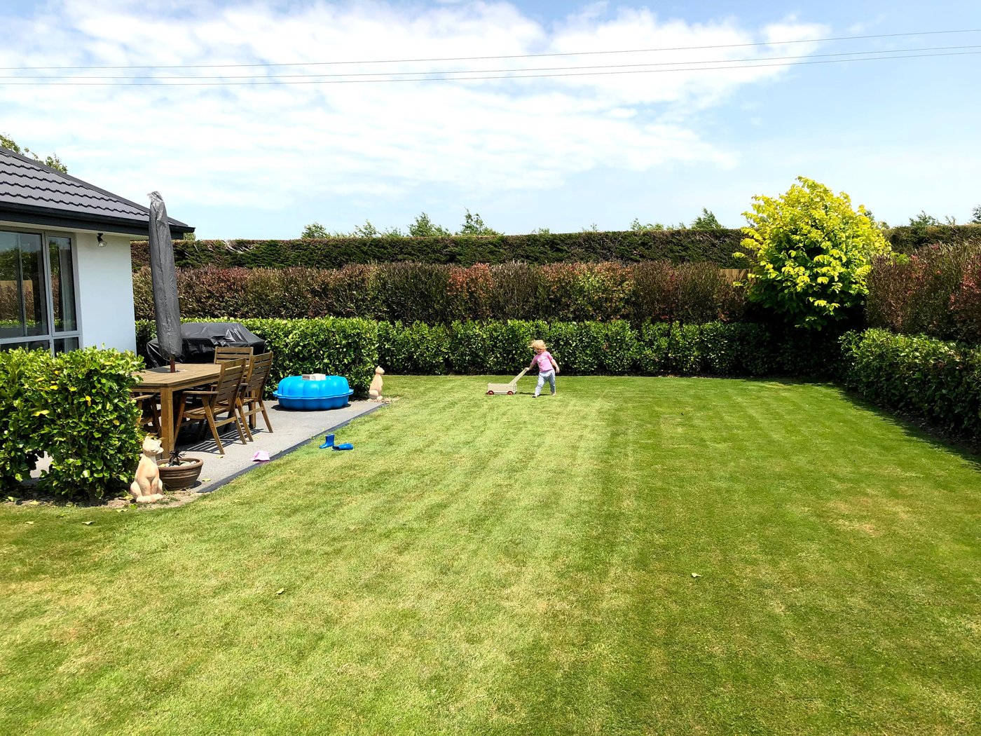 The lawn in use, with established hedging screening the boundary