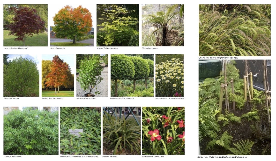Planting palette sheet — a photograph of every species chosen, each one named