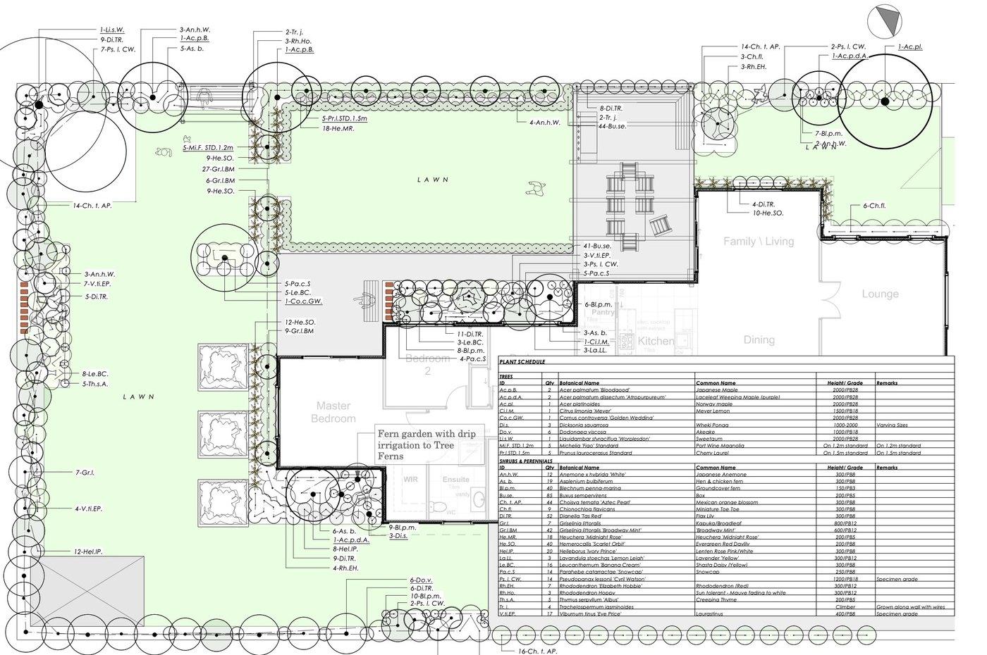Scaled planting plan with an itemised schedule listing botanical and common names, quantities, grades and spacings
